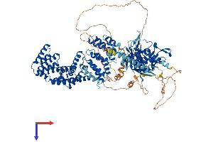 AlphaFold protein structure predicition of Human Recombinant USP38 Protein, UniprotID Q8NB14
