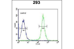 Flow cytometric analysis of 293 cells (right histogram) compared to a negative control cell (left histogram). (Gasdermin A anticorps  (N-Term))