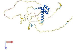 AlphaFold protein structure predicition of Mouse Recombinant Hhex Protein, UniprotID P43120