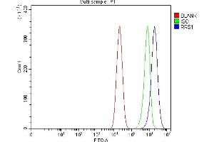 Flow Cytometry analysis of Caco-2 cells using anti-RRS1 antibody (ABIN7601344).