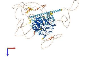 AlphaFold protein structure predicition of Human Recombinant BUB1 Protein, UniprotID O43683