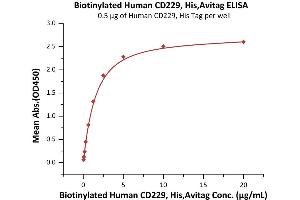 Immobilized Human CD229, His Tag (ABIN6253192,ABIN6253525) at 5 μg/mL (100 μL/well) can bind Biotinylated Human CD229, His,Avitag (ABIN6972974) with a linear range of 0.
