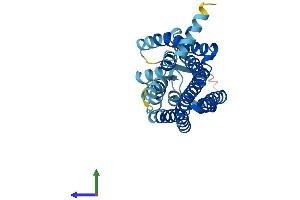 AlphaFold protein structure predicition of Human Recombinant OR1A1 Protein, UniprotID Q9P1Q5