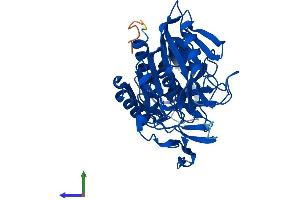 AlphaFold protein structure predicition of Mouse Recombinant Acot4 Protein, UniprotID Q8BWN8