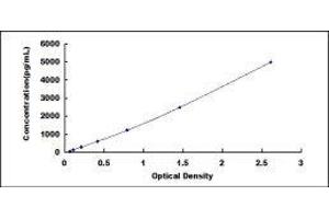 ELISA image for Growth Differentiation Factor 3 (GDF3) ELISA Kit (ABIN417835)