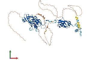 AlphaFold protein structure predicition of Human Recombinant EBF4 Protein, UniprotID Q9BQW3
