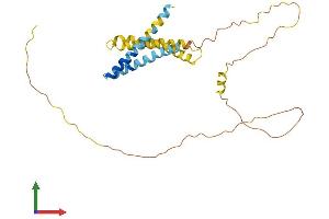 AlphaFold protein structure predicition of Human Recombinant TMEM72 Protein, UniprotID A0PK05 (TMEM72 Protein (AA 1-275) (His tag))