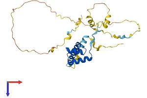 AlphaFold protein structure predicition of Mouse Recombinant Emx2 Protein, UniprotID Q04744