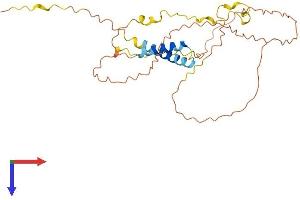 AlphaFold protein structure predicition of Human Recombinant TP53TG5 Protein, UniprotID Q9Y2B4