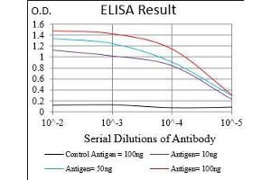 anti-CD93 (CD93) (AA 474-535) antibody