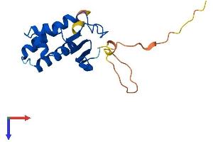 AlphaFold protein structure predicition of Human Recombinant BTG1 Protein, UniprotID P62324