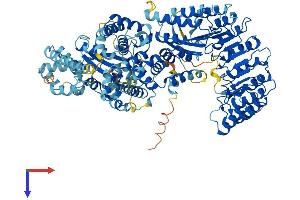 AlphaFold protein structure predicition of Human Recombinant NLRP11 Protein, UniprotID P59045