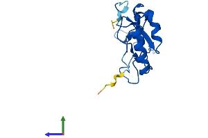 AlphaFold protein structure predicition of Mouse Recombinant Rpl32-ps Protein, UniprotID P17932