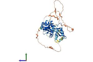 AlphaFold protein structure predicition of Mouse Recombinant Prkag3 Protein, UniprotID Q8BGM7