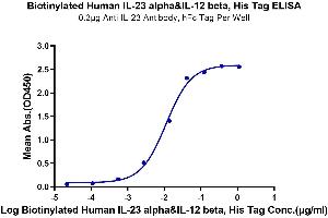 Immobilized Anti-IL-23 Antibody, hFc Tag at 2 μg/mL (100 μL/well) on the plate.