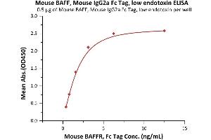 Immobilized Mouse BAFF, Mouse IgG2a Fc Tag, low endotoxin (ABIN5954906,ABIN6253646) at 5 μg/mL (100 μL/well) can bind Mouse BAFFR, Fc Tag (ABIN5526590,ABIN5526591) with a linear range of 0.