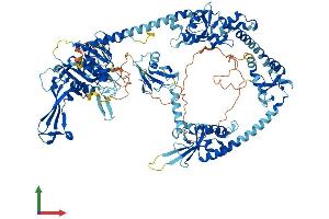 AlphaFold protein structure predicition of Human Recombinant USP48 Protein, UniprotID Q86UV5
