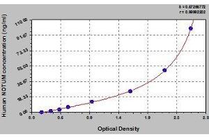 Typical standard curve (NOTUM Kit ELISA)