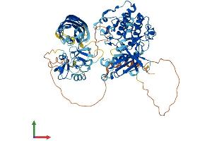 AlphaFold protein structure predicition of Human Recombinant PRKCE Protein, UniprotID Q02156