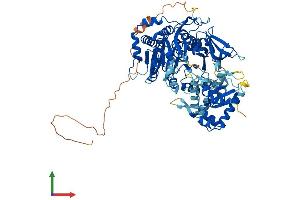 AlphaFold protein structure predicition of Human Recombinant ACSBG1 Protein, UniprotID Q96GR2