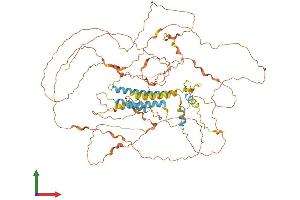 AlphaFold protein structure predicition of Human Recombinant TROAP Protein, UniprotID Q12815