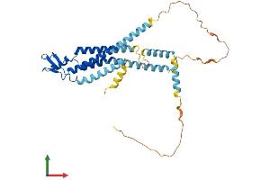 AlphaFold protein structure predicition of Mouse Recombinant Gja4 Protein, UniprotID P28235