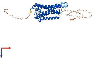 Opsin 3 (OPN3) (AA 1-402) protein (His tag)