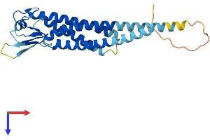 AlphaFold protein structure predicition of Mouse Recombinant Lhfpl4 Protein, UniprotID Q5U4E0