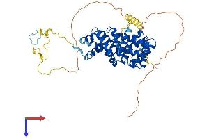 AlphaFold protein structure predicition of Mouse Recombinant Pdcd4 Protein, UniprotID Q61823