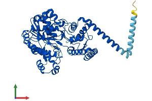 AlphaFold protein structure predicition of Mouse Recombinant Far1 Protein, UniprotID Q922J9