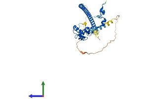 AlphaFold protein structure predicition of Human Recombinant FAM76A Protein, UniprotID Q8TAV0