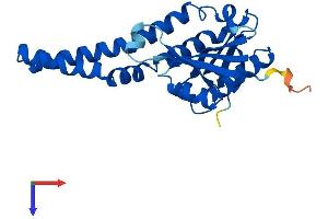 AlphaFold protein structure predicition of Mouse Recombinant Nat8 Protein, UniprotID Q9JIY7