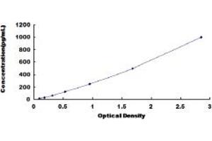 Interleukin 13 (IL13) ELISA Kit