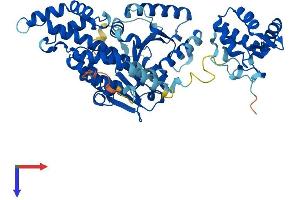 AlphaFold protein structure predicition of Mouse Recombinant Ehd3 Protein, UniprotID Q9QXY6