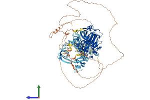 AlphaFold protein structure predicition of Mouse Recombinant Kdm4b Protein, UniprotID Q91VY5