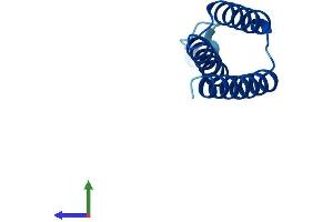 AlphaFold protein structure predicition of Human Recombinant LYRM2 Protein, UniprotID Q9NU23