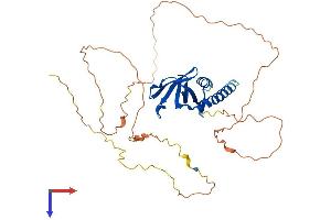 AlphaFold protein structure predicition of Human Recombinant SPATA22 Protein, UniprotID Q8NHS9