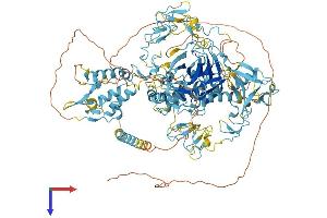 AlphaFold protein structure predicition of Mouse Recombinant Corin Protein, UniprotID Q9Z319