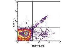 Flow Cytometry (FACS) image for anti-TCR V Gamma1.1/Cr4 antibody (FITC) (ABIN2662030) (TCR V Gamma1.1/Cr4 anticorps (FITC))