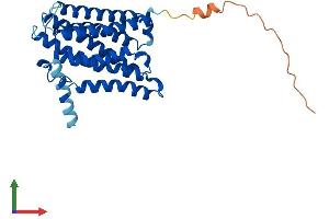 AlphaFold protein structure predicition of Mouse Recombinant Elovl2 Protein, UniprotID Q9JLJ4