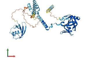 AlphaFold protein structure predicition of Mouse Recombinant Ddi2 Protein, UniprotID A2ADY9