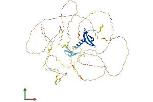 AlphaFold protein structure predicition of Human Recombinant CBX4 Protein, UniprotID O00257
