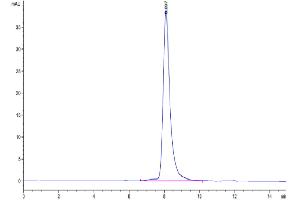 The purity of Rhesus macaque FGFR4 is greater than 95 % as determined by SEC-HPLC.