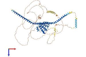 AlphaFold protein structure predicition of Human Recombinant TRAF3IP1 Protein, UniprotID Q8TDR0