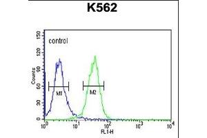 PGP Antibody (N-term) (ABIN653810 and ABIN2843085) flow cytometric analysis of K562 cells (right histogram) compared to a negative control cell (left histogram). (PGP anticorps  (N-Term))