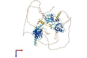 AlphaFold protein structure predicition of Mouse Recombinant Apba2 Protein, UniprotID P98084