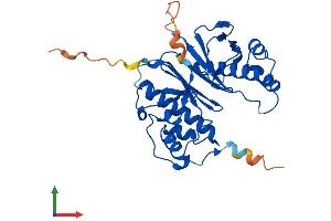 AlphaFold protein structure predicition of Mouse Recombinant Aasdhppt Protein, UniprotID Q9CQF6