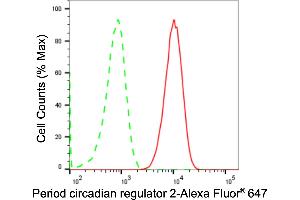Flow cytometric analysis of Period circadian regulator 2 expression in C2C12 cells using Period circadian regulator 2 antibody (ABIN7799772), 1:2,000). (Recombinant PER2 anticorps)