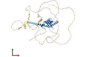 AlphaFold protein structure predicition of Human Recombinant DAB1 Protein, UniprotID O75553