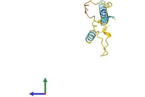 AlphaFold protein structure predicition of Human Recombinant PDZK1IP1 Protein, UniprotID Q13113